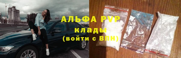 ешки Бородино
