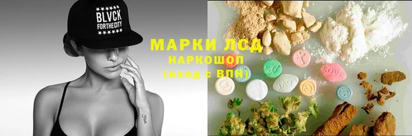 ешки Бородино