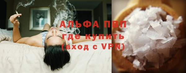 ешки Бородино
