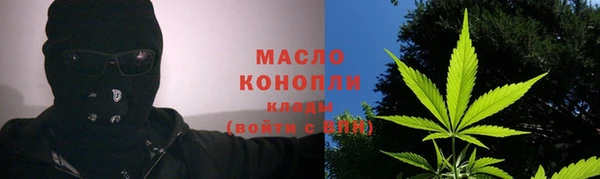 ешки Бородино