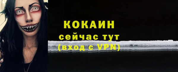 ешки Бородино