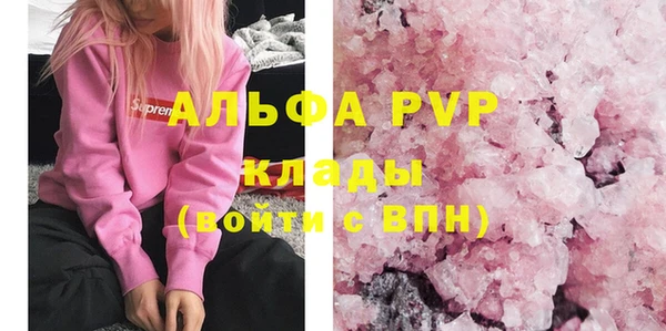 ешки Бородино