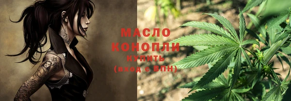 ешки Бородино