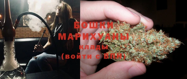 ешки Бородино